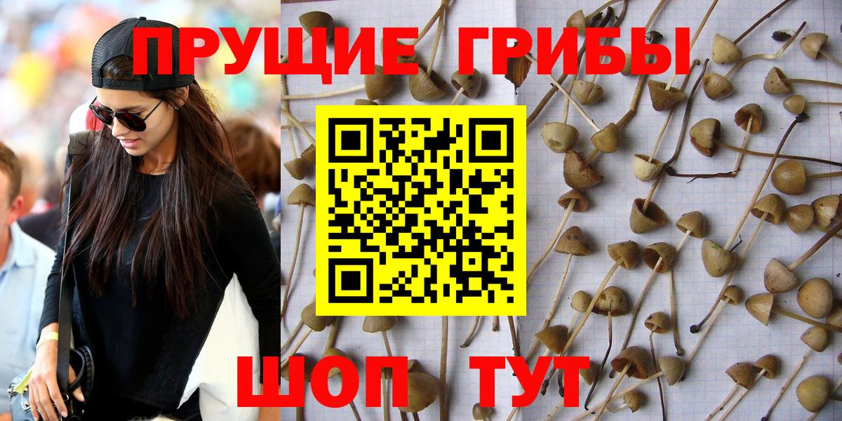 Галлюциногенные грибы мухоморы Чехов